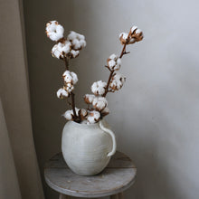 Load image into Gallery viewer, Cotton Stem (7-head)