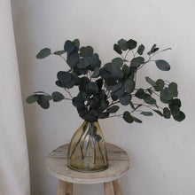 Load image into Gallery viewer, Green Preserved Silver Dollar Eucalyptus