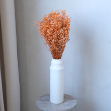 Load image into Gallery viewer, Orange Preserved Baby's Breath (Gypsophila)