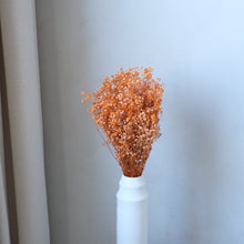 Load image into Gallery viewer, Orange Preserved Baby's Breath (Gypsophila)