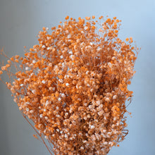 Load image into Gallery viewer, Orange Preserved Baby's Breath (Gypsophila)