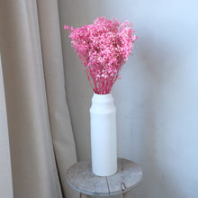 Load image into Gallery viewer, Pink Preserved Baby's Breath (Gypsophila)