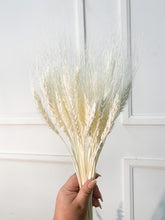 Load image into Gallery viewer, Dried Wheat (bunch)