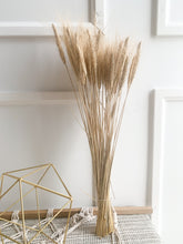 Load image into Gallery viewer, Dried Wheat (bunch)
