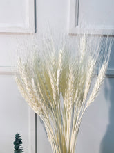 Load image into Gallery viewer, Dried Wheat (bunch)