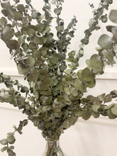 Load image into Gallery viewer, Preserved Eucalyptus (bunch)