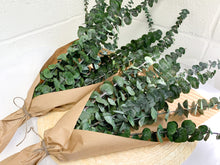 Load image into Gallery viewer, Preserved Eucalyptus (bunch)