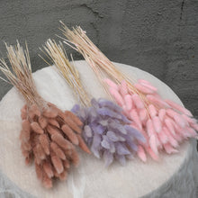 Load image into Gallery viewer, Dried Bunnytails (45 pcs/bunch)