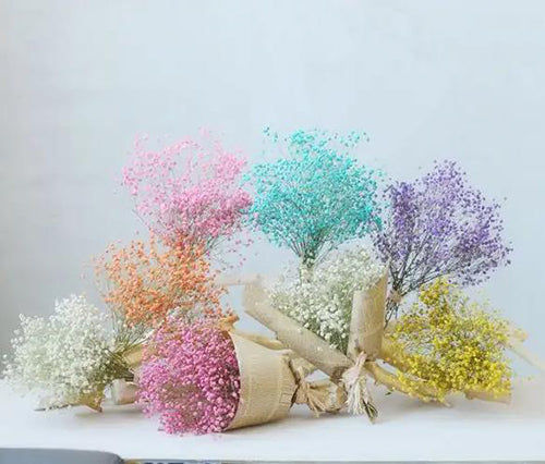 How to prevent dried flowers from distortion