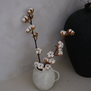 Cotton Stem (7-head)