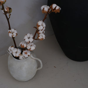 Cotton Stem (7-head)