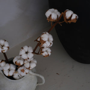 Cotton Stem (7-head)