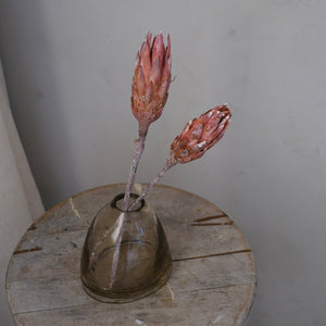 Protea Flower (Pack of 3)