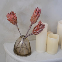 Load image into Gallery viewer, Protea Flower (Pack of 3)
