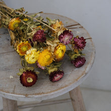 将图片加载到图库查看器，Dried Chrysanthemum (bunch)
