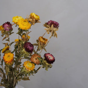 Dried Chrysanthemum (bunch)