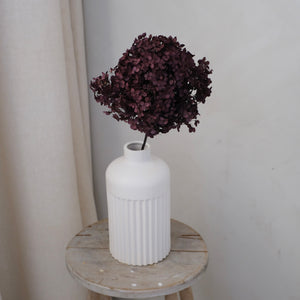 Premium Preserved Hydrangea - Dark Purple