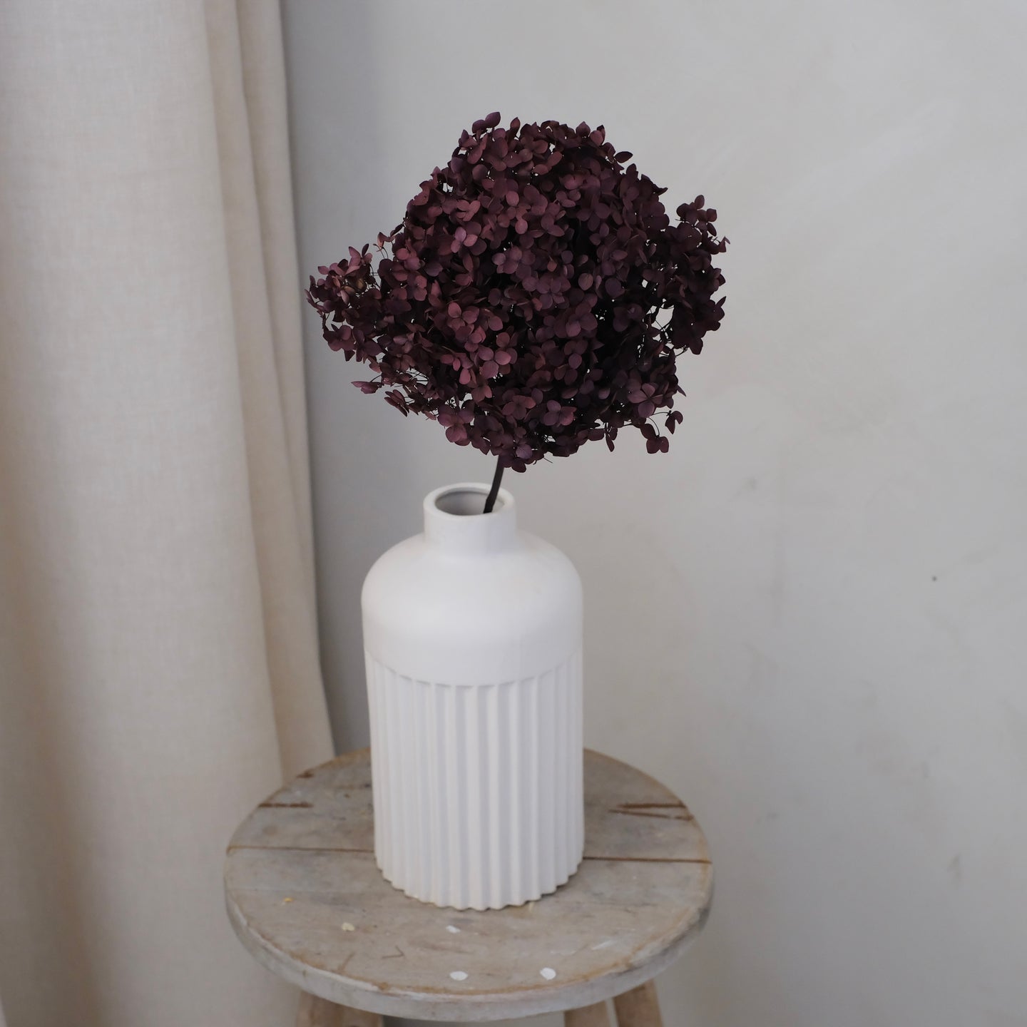 Premium Preserved Hydrangea - Dark Purple