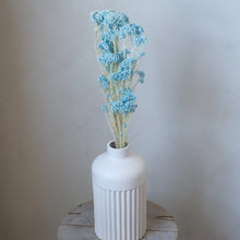 将图片加载到图库查看器，Preserved Rice Flower - Light Blue
