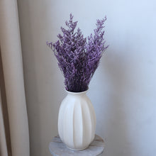 将图片加载到图库查看器，Preserved Limonium - Purple
