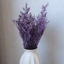 将图片加载到图库查看器，Preserved Limonium - Purple
