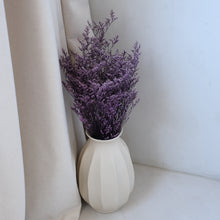 将图片加载到图库查看器，Preserved Limonium - Purple
