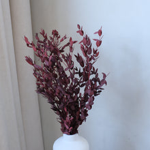 Load image into Gallery viewer, Preserved Parvifolia Eucalyptus Burgundy
