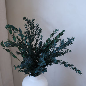 Preserved Parvifolia Eucalyptus Green
